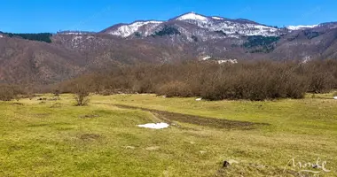 Grundstück in Zabljak, Montenegro