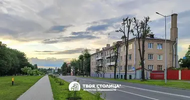 1 bedroom apartment in Minsk, Belarus