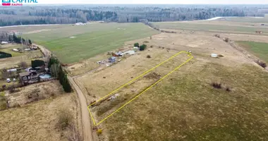 Plot of land in Ilgakiemis, Lithuania
