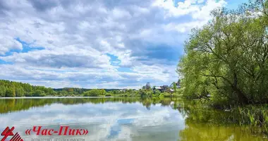 Działka w Ozyaritska Slabadski rural council, Białoruś