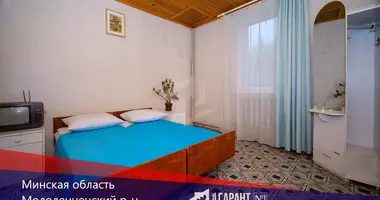 House in Radaskovicki sielski Saviet, Belarus