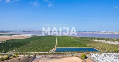 Apartment in Torrevieja, Spain