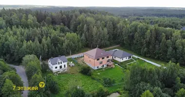 Cottage in Novaje Polie, Belarus