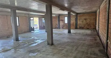Commercial property 150 m² in Radanovici, Montenegro