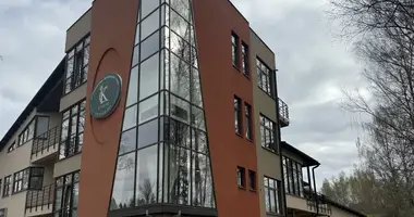 Propiedad comercial 174 m² en Balozi, Letonia