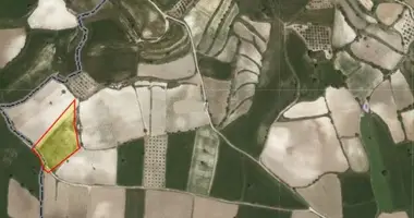 Квартира в Полеми, Кипр