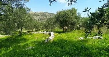 Участок земли в Drapanos, Греция