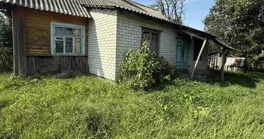 House in Dzitvianski sielski Saviet, Belarus