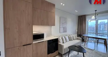1 bedroom apartment in Minsk, Belarus