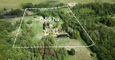 Casa en Norvaisiai, Lituania