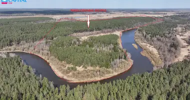 Grundstück in Janau, Litauen