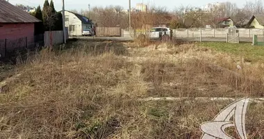Plot of land in Muchaviecki sielski Saviet, Belarus