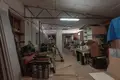 Apartment 550 m² Rydzyna, Poland