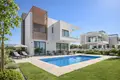 Maison 3 chambres 253 m² Koinoteta Pyrgou Lemesou, Chypre
