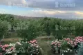 Mansion 6 bedrooms 400 m² Kanakeravan, Armenia