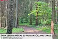 Land  Vilnius, Lithuania