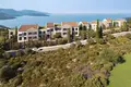 Mieszkanie 1 pokój 105 m² Radovici, Czarnogóra