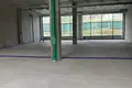 Nieruchomości komercyjne 220 m² Mińsk, Białoruś