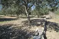 Parcelas 2 700 m² Kastel Stafilic, Croacia