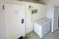 Zakład produkcyjny 412 m² Chołopienicze, Białoruś