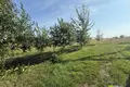 Haus 50 m² Dzitvianski sielski Saviet, Belarus