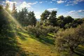 Atterrir 4 010 m² Neos Marmaras, Grèce
