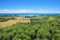 Land 1 560 m² Kalyves Polygyrou, Greece