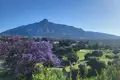2 bedroom apartment 80 m² San Pedro Alcantara, Spain