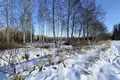 Land 1 700 m² Skultes pagasts, Latvia