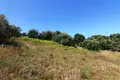 Działki 1 pokój 5 996 m² Temploni, Grecja