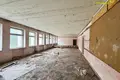 Коммерческое помещение 1 670 м² Березино, Беларусь
