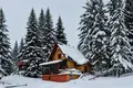 Willa 2 pokoi 117 m² Zabljak, Czarnogóra