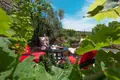 Villa mit 2 Schlafzimmern 300 m² Tivat, Montenegro