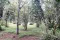 Atterrir 5 000 m² Ozourguéti, Géorgie