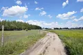 Parcelas 5 159 m² Krosinko, Polonia