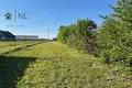 Haus 66 m² Navasiolkauski sielski Saviet, Belarus