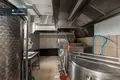Коммерческое помещение 350 м² в Вильнюсе, Литва