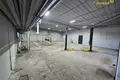 Коммерческое помещение 3 комнаты 222 м² в Минске, Беларусь