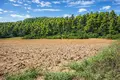 Land 4 500 m² Kassandrino, Greece