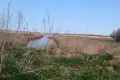 Land  Palanga, Lithuania