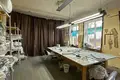 Gewerbefläche 12 zimmer 120 m² in Stankava, Belarus