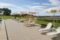 Commercial property 1 600 m² in Grosseto, Italy