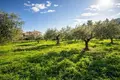 Atterrir 2 800 m² Kassandrino, Grèce