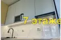 1 room apartment 20 m² Fanipal, Belarus