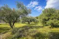 Atterrir 9 205 m² Neos Marmaras, Grèce