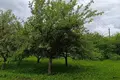 Dom 28 m² Aliachnovicki sielski Saviet, Białoruś