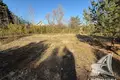 Land  Zabinkauski sielski Saviet, Belarus