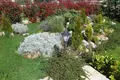 Вилла 3 спальни 225 м² Galizana, Хорватия