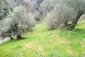 Land 1 room  Agnitsini, Greece