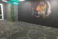 Geschäft 61 m² in Minsk, Belarus